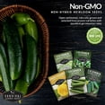 thumbnail image 5 of Cucumber Seeds 5 Variety Pack - Non-GMO Heirloom Full Sun Annual Vegetable, 5 of 9