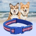 thumbnail image 4 of CSChome Collier pour Animaux Collier Réfléchissant Réglable Décoratif en Polyester avec Sangle Circulaire, 4 of 7