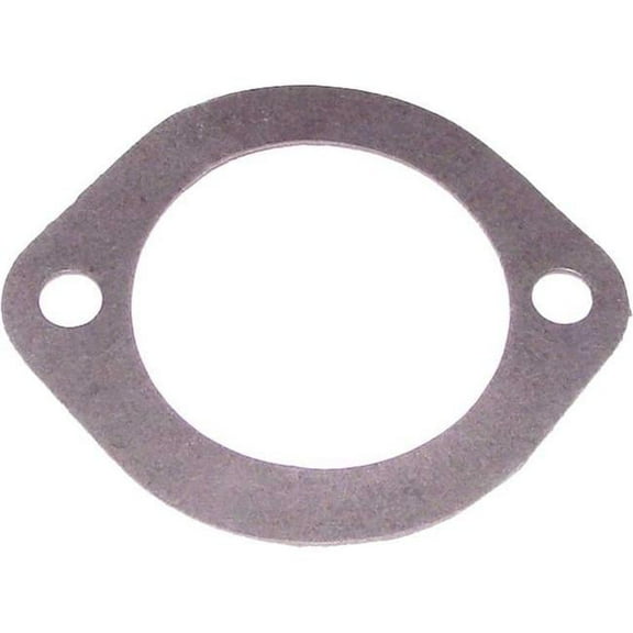 ALA-PT APCG3399 Purex Pump Gasket