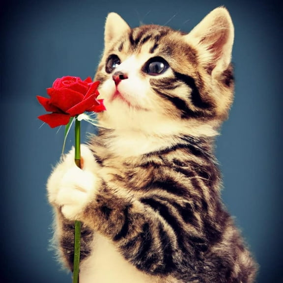 5D DIY Diamond Painting Set "Cat Rose, Animal Flower" Round Diamond Art Crafts for Adults, Suitable for Wall Decoration, Bedroom and Home Decoration