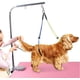 thumbnail image 4 of No hay soporte de cadera para productos para mascotas en el centro de la ciudad, que se utiliza para el brazo de aseo de perros y la mesa de aseo de mascotas, productos de aseo para perros, 4 of 8
