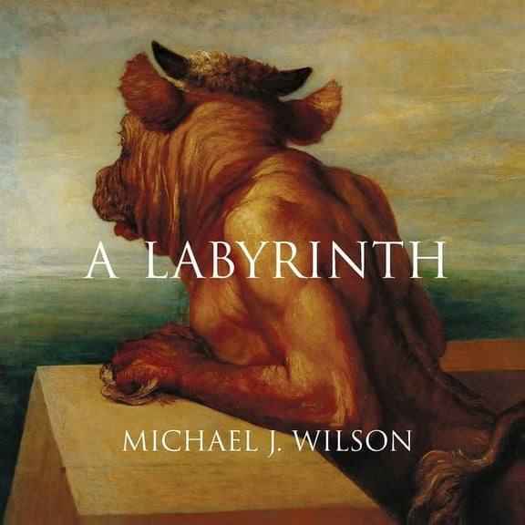 A Labyrinth, (Paperback)
