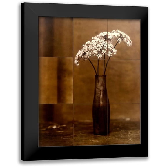 Gauthier, Jan 12x14 Black Modern Framed Museum Art Print Titled - Night Flower