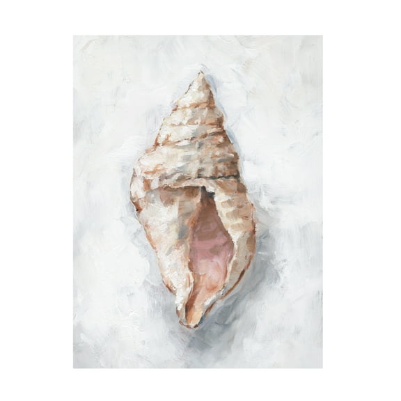 Ethan Harper 'White Shell Study III' Canvas Art