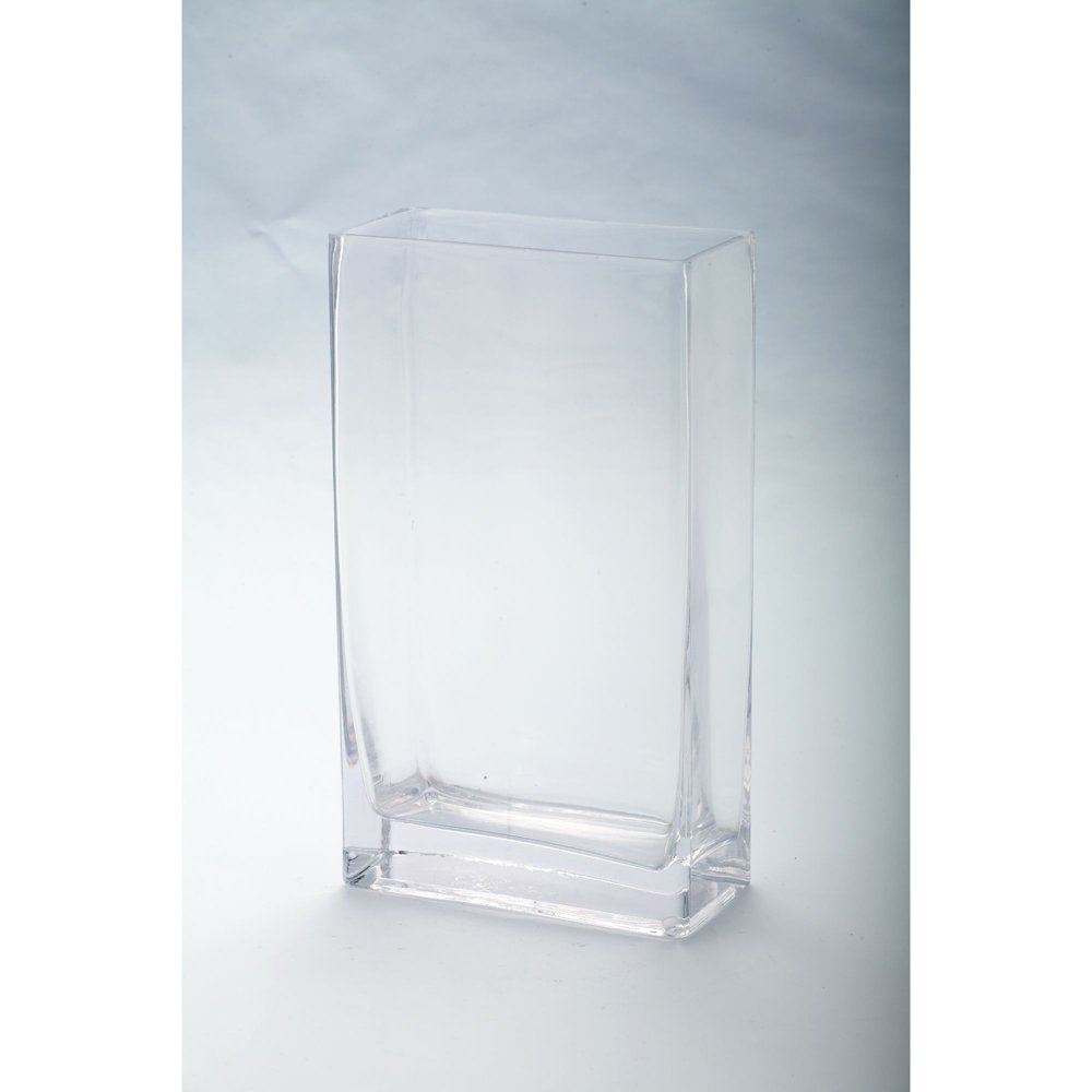 10.5" Clear Rectangular Tabletop Hand Blown Glass Vase