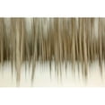 thumbnail image 3 of Malvin, Larry 24x17 Black Modern Framed Museum Art Print Titled - Birch Blur II, 3 of 5
