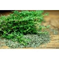thumbnail image 4 of 1000 THYME Common, English, German, French, Garden, or Winter Thymus Vulgaris Herb Flower Seeds, 4 of 11