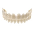 thumbnail image 1 of 1 Juego de dentadura postiza de resina, modelo de enseñanza de dientes dentales, dentadura postiza de resina para pacientes con pérdida de cavidad bucal, accesorio de suministro dental, 1 of 4