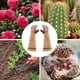 thumbnail image 5 of par de guantes de jardinería, guantes resistentes a las espinas de poda de rosas, guantes de jardinería para mascotas de flores, 5 of 5