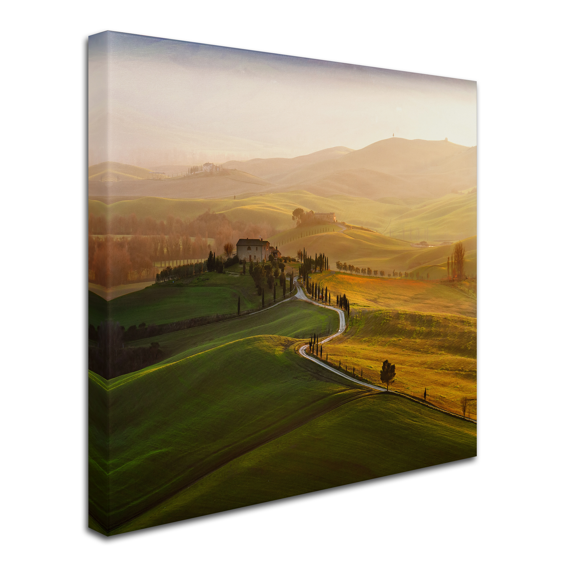 Trademark Fine Art 'Val D' Canvas Art by Jarek Pawlak