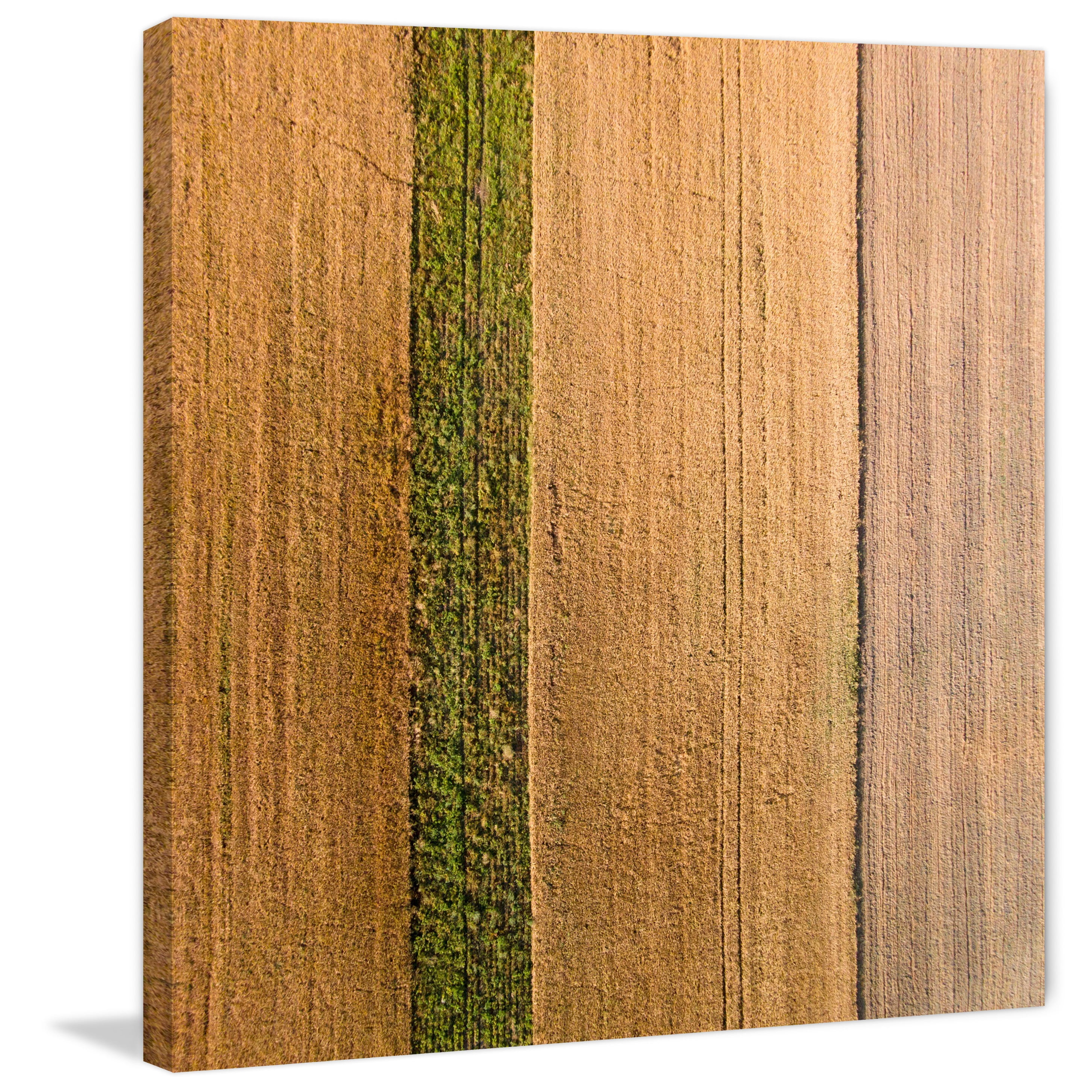 Marmont Hill "Seeded Land" by Karolis Janulis Painting Print on Wrapped Canvas