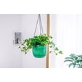 thumbnail image 3 of 3Pcs Plastic Hanging Planters Small Plant Pot with Drainage Holes,Hanging Basket with Removable hooks,Prefect for Home Garden Cafe Office (Emerald), 3 of 7