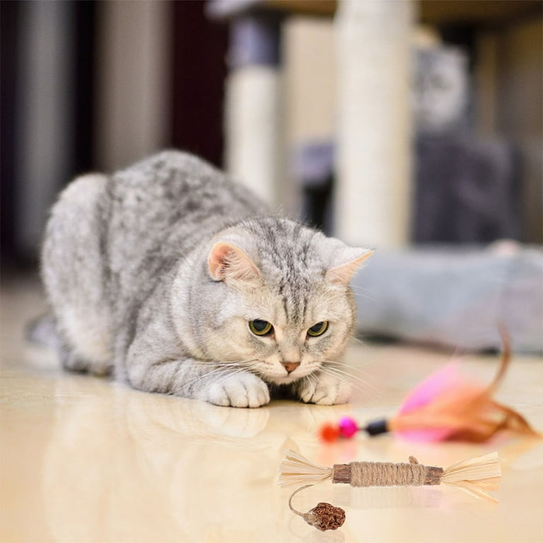 20 Fun DIY Cat Toys That Kitties Can't Resist | Cats Bringing You Toys |  tenutalamagorga.it