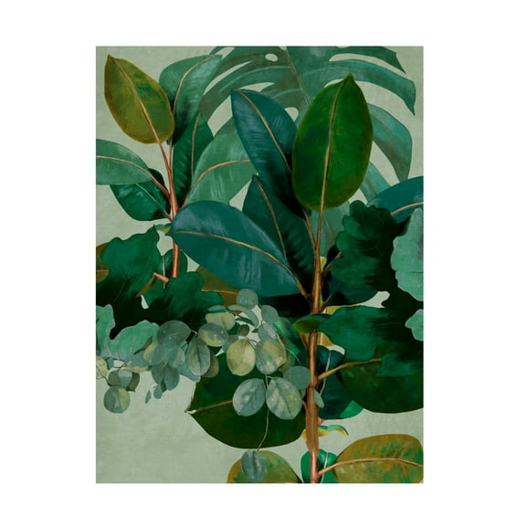 Trademark Fine Art Ana Rut Bre Leaves More 9 Canvas Wall Art