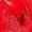 Red, variant on Women's Panties Women Underwear Thongs Lace Bikini Panties G String Thong Stretch Ladie Brief Thong
