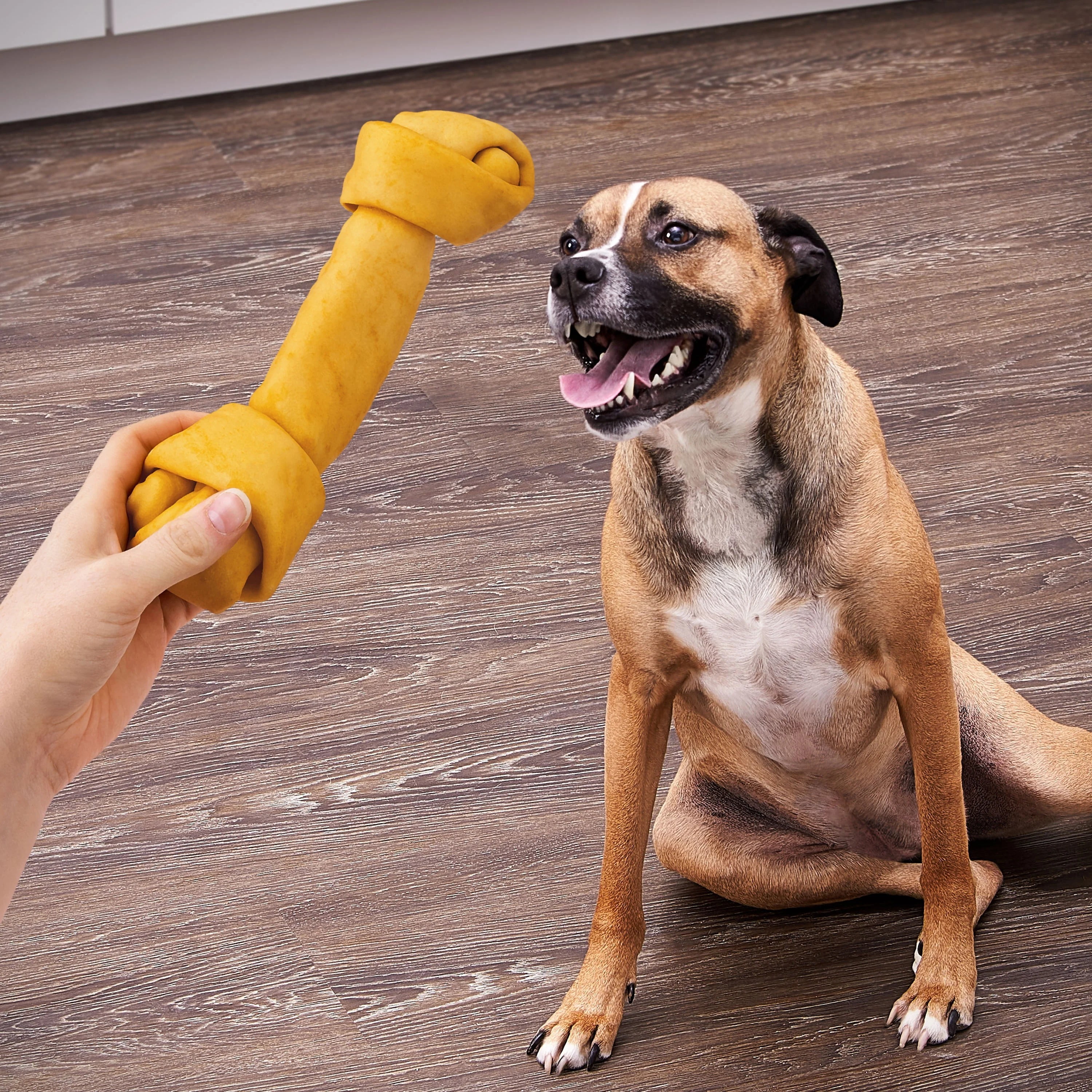 (4 pack) Ol' Roy Rawhide 9-inch Large Knotted Bones Artificial Chicken Flavored Chews for Dogs, Dry, 16.02 oz, 3 Count