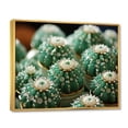 thumbnail image 2 of Designart "Jewels of the Desert Green Beige Cactus Mammillaria II" Floral Floater Framed Wall Decor, 2 of 7