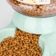 thumbnail image 5 of Cuencos alimentadores para mascotas de gran capacidad, cuenco de comida para perros pequeños, dispensador automático de agua, cuencos para gatos, cuencos de alimentación para mascotas, cuenco de, 5 of 6