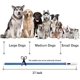 thumbnail image 5 of Led Dog Collar,usb Rechargeable Glowing Dog Collars, Light Up Collar Improved Pet Safety, 5 of 5