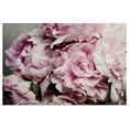 thumbnail image 1 of Great BIG Canvas | "Peonies Galore II" Art Print - 48x32, 1 of 4