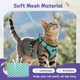 thumbnail image 3 of Pigo Cat Harness and Leash for Walking, Escape Proof Soft Adjustable Vest Harnesses for Cats, Easy Control Breathable Reflective Strips Jacket, Green, 3 of 10