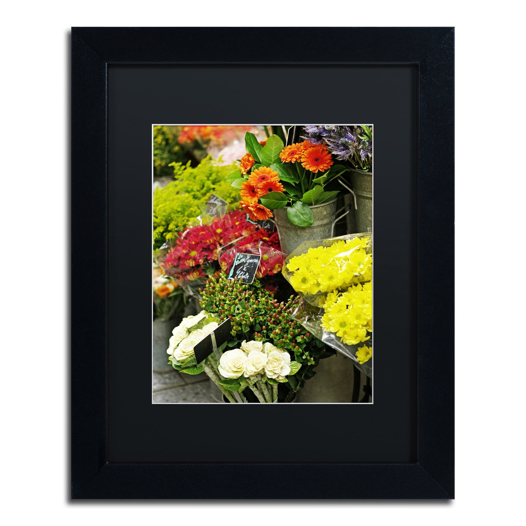 Trademark Fine Art "Parisian Flowers" Canvas Art by Preston Black Mat, Black Frame