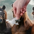 thumbnail image 4 of FREEAMG Thought Horse 1000 Piece Puzzle for Adults, Family Game Intellective Toys Wall Art Work for Educational Gift Home Decor, 4 of 7