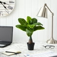 thumbnail image 3 of Nearly Natural 16" Plastic and Polyester Mini Banana Artificial Plant, Green, 3 of 3