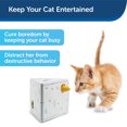 thumbnail image 3 of PetSafe® Cheese Automatic Cat Toy, 3 of 4