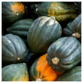 thumbnail image 3 of Everwilde Farms - 1 lb Table Queen Acorn Winter Squash Seeds - Gold Vault Bulk Seed Packet, 3 of 3