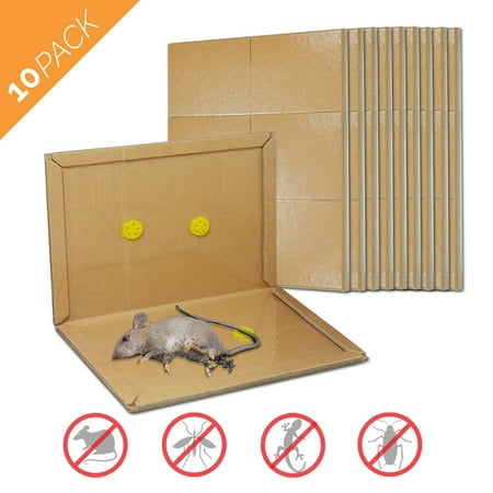 Mouse Glue Trap, Rat Glue Traps, Strongly Adhesive & Extra Large, Best Peanut Butter Scented Mouse Traps Glue Board for Mice & Rodent &Pests & Bug & Ant & Spider - 10