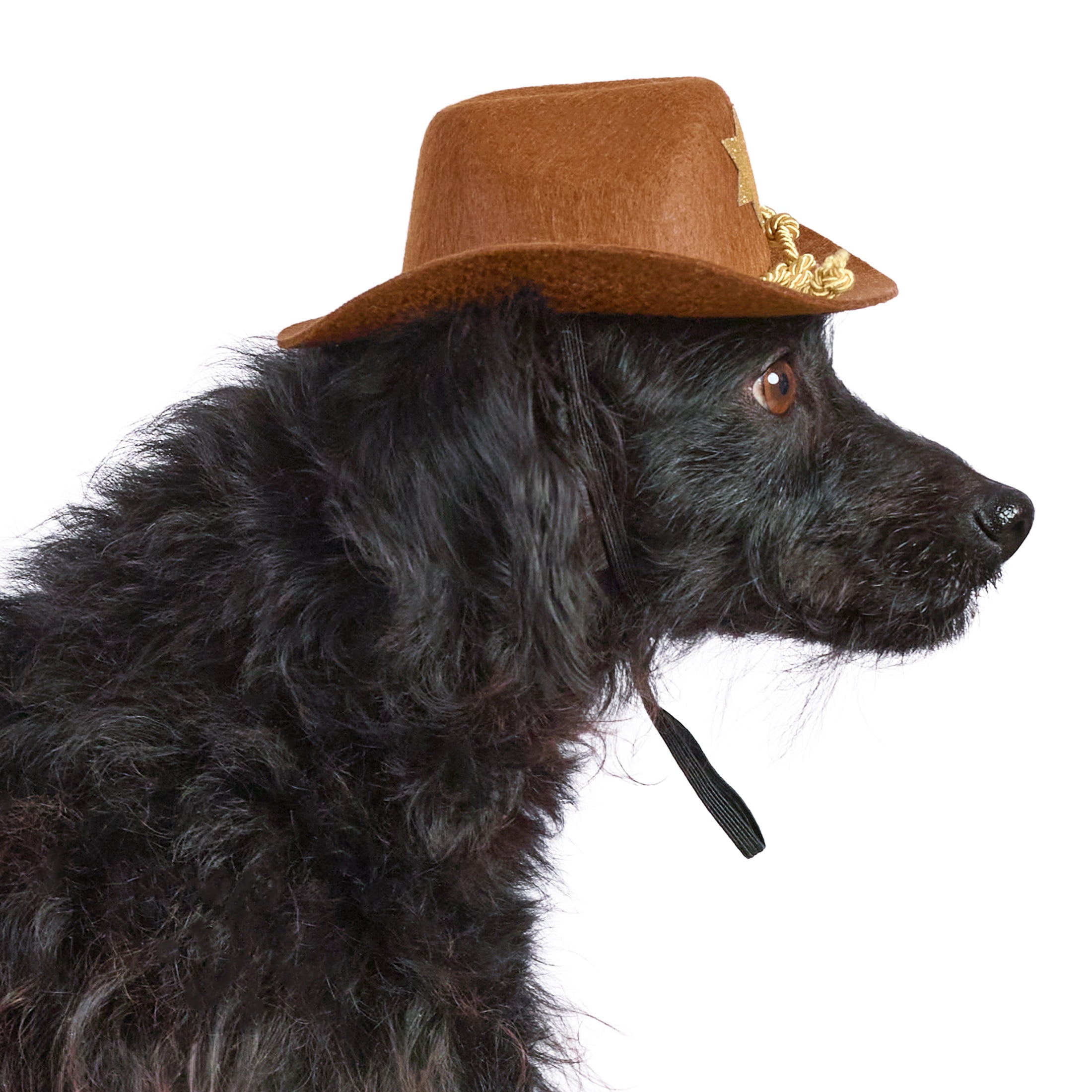 Vibrant Life Halloween Cowboy Hat Costume for Dogs and Cats, Brown, XS/S