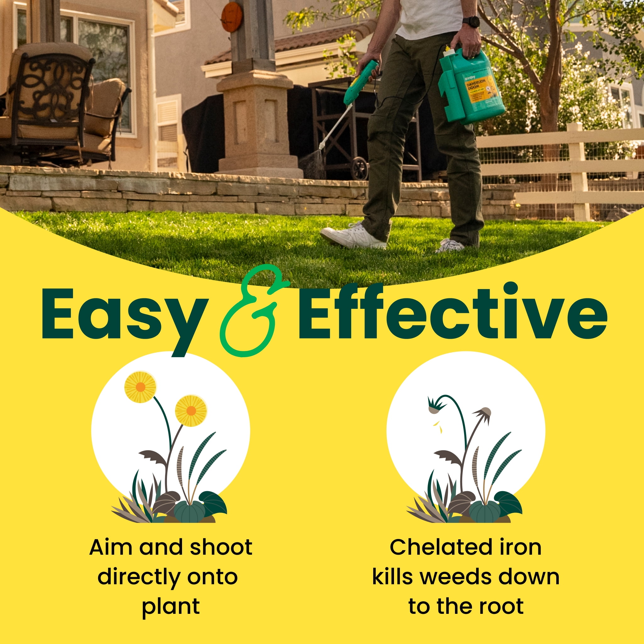 (2 pack) Sunday Dandelion Doom Broadleaf Herbicide Spot Treatment 1 gal/128 oz.
