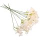 thumbnail image 5 of unbranded 10Ud Ramos De Flores Artificiales Beige Para De Hogar Con Tallo, 5 of 8