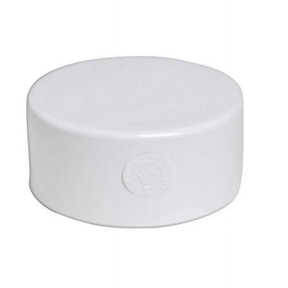 Plastic Trends P1603 3 in. PVC Cap