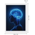 thumbnail image 2 of Diamond Art Kits for Adults - Human Brain Anatomy Illustration 5d Diamond Painting for Adults, Diamond Art for Adults Beginners, Frameless Diamond Painting Kits for Adults for Home Wall Decor, 2 of 7