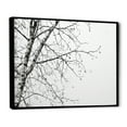thumbnail image 2 of Designart "Monochrome Birch Serenity" Tree Birch Floater Framed Canvas Wall Art, 2 of 5