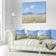 thumbnail image 2 of Designart Chamomiles with Hills on Background - Flower Throw Pillow - 16x16, 2 of 4