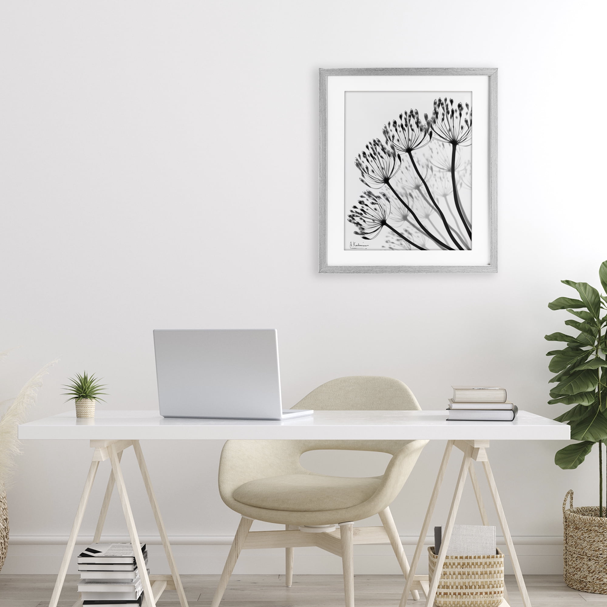 Stupell Industries Floral Fan Dandelions Gray Framed Print Under Glass, design by Albert Koetsier
