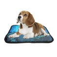 thumbnail image 2 of PKQWTM Tropical Fish On A Coral Reef In Dubai Aquarium Pet Dog Cat Bed Pee Pads Mat Cushion Potty Dogs Blankets Crate Bed Kennel 14x18 inch, 2 of 3