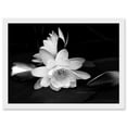 thumbnail image 1 of White Lilly Flower Bloom A4 Artwork Framed Wall Art Print, 1 of 4