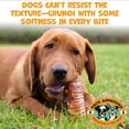 thumbnail image 4 of Pack Approved Beef Trachea - Dehydrated Beef Dog Treats Made in USA - Single Ingredient Treat w/ Chondroitin & Glucosamine - Dog Joint Health for Small to Medium Breeds - 5-6" (4ct), 4 of 10