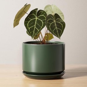 BEMAY 6.8-Inch Bamboo Green Ceramic Plant Pot with Saucer