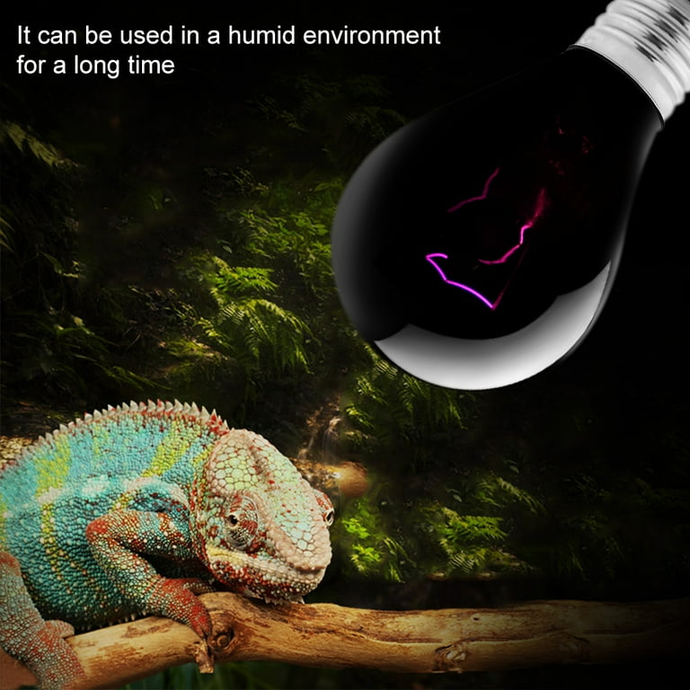 Iguana light bulb cheap