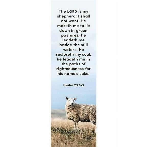 B&H Publishing 224556 Bookmark - 23rd Psalm - Pack of 25