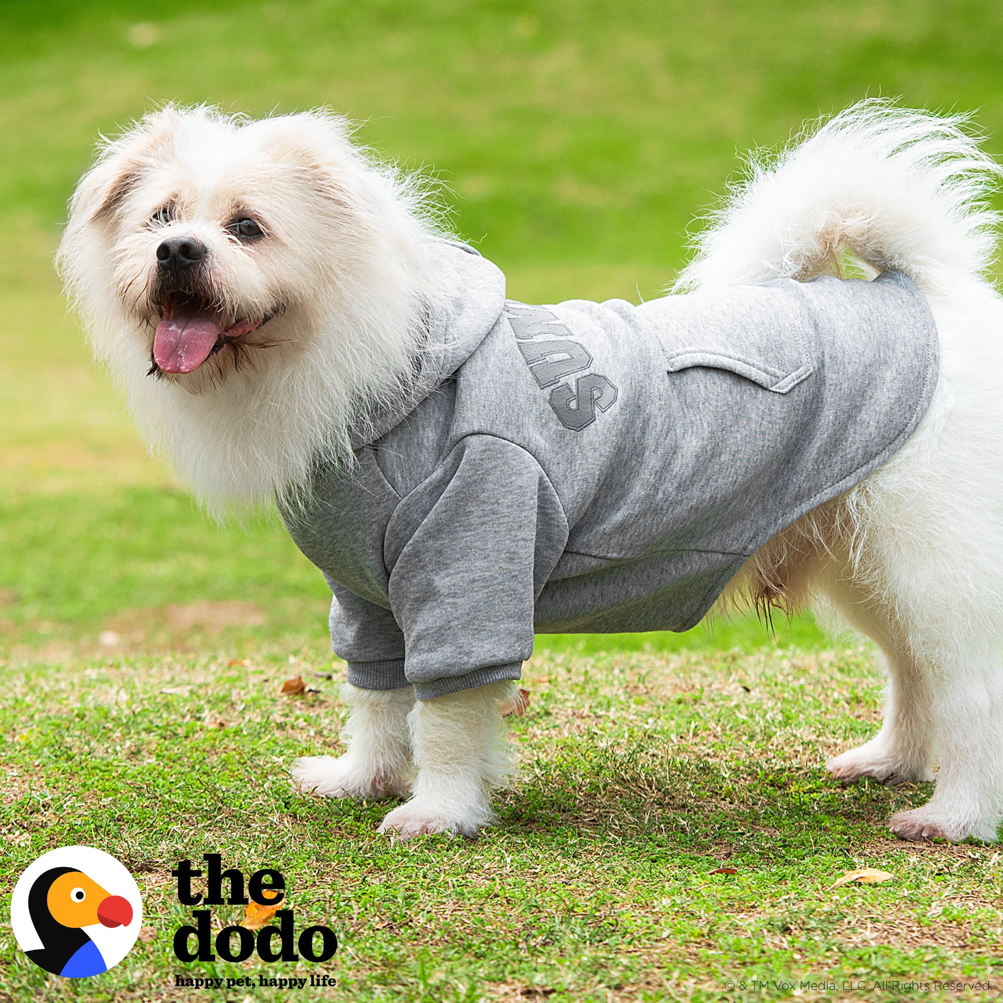 The Dodo Heather Gray Sundays Dog Hoodie LARGE