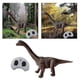 thumbnail image 1 of 2026 Realistic Kids RC Dinosaur Educational Roaring Sounds 360 Rotation Stunt Brachiosaurus, 1 of 5