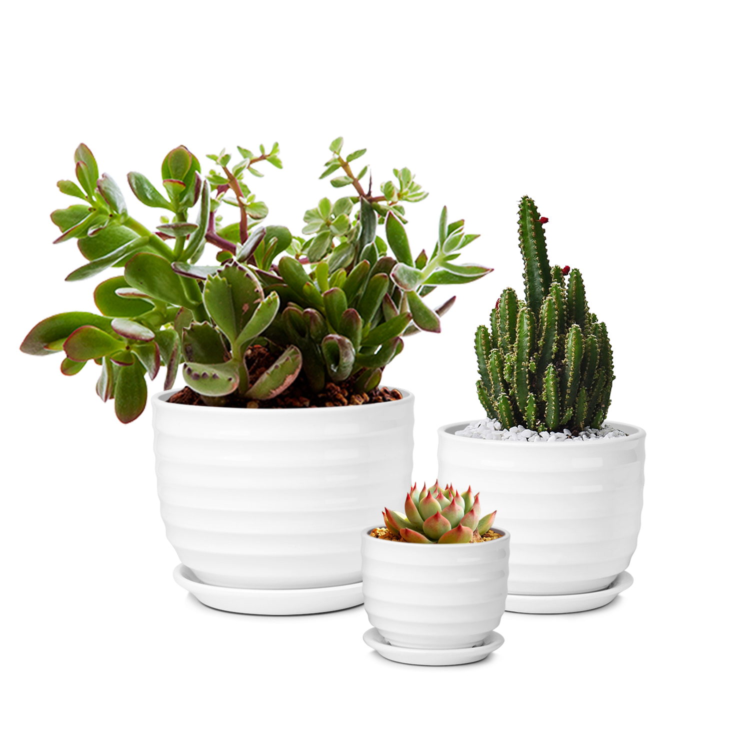 Succulent Plants Pots, Flower Planters - Modern Ribbed Ceramic Round Container Set of 3, 3/5/7 Inch White for Cactus African Violet Foliage Mint Basil Herb Windowsill Garden Indoor Outdoor Office Home - image 2 of 9
