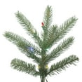 thumbnail image 2 of 5.5' x 49" Colorado Spruce Tree, 2 of 2