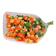 thumbnail image 1 of Ramo minirosas, 1 of 4